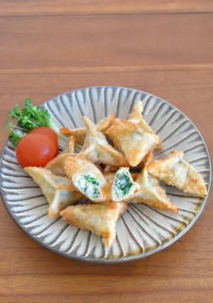 静岡めんまで簡単！ヘルシー揚げ餃子-レシピのメイン写真