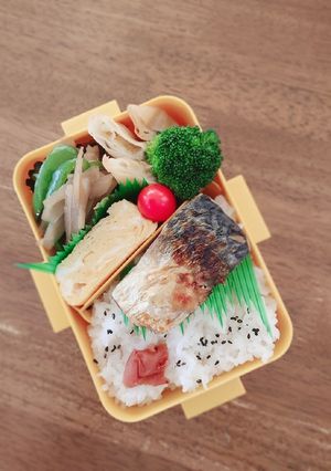 サバ塩焼き&きんぴらごぼうの和風弁当♪-レシピのメイン写真