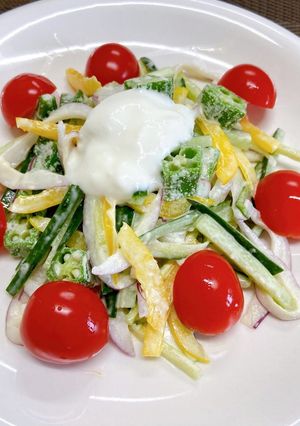 夏野菜のサラダ-レシピのメイン写真