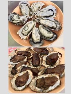 簡単・牡蠣の燻製-レシピのメイン写真