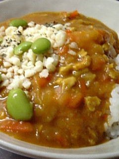 低カロリーカレー-レシピのメイン写真