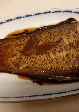 いろいろ煮魚-レシピのメイン写真