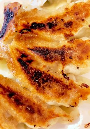 ニラなし！うまみキャベツ餃子-レシピのメイン写真