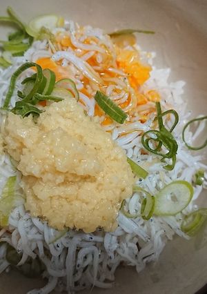 丼 ～火使わない時短どんぶり～-レシピのメイン写真