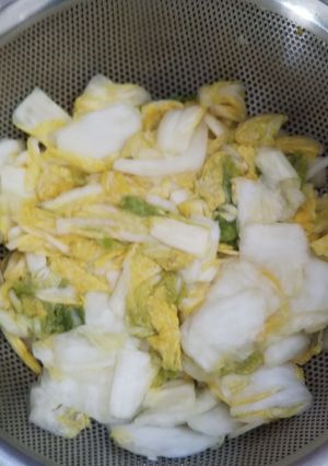白菜キムチの下漬けメモ-レシピのメイン写真