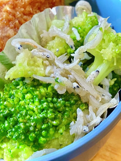 ブロッコリー&しらすマリネ! タロの弁当-レシピのメイン写真