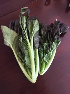 簡単美味しい高菜と豚肉の塩胡椒炒め-レシピのメイン写真