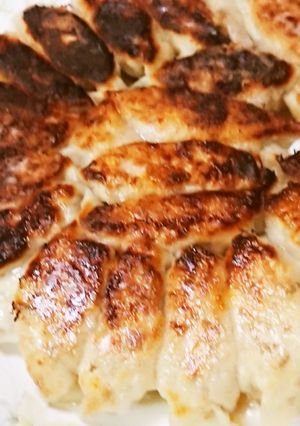 キャベツと生椎茸の餃子-レシピのメイン写真