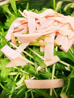 こども大好き。水菜の簡単サラダ-レシピのメイン写真
