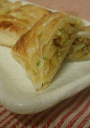 ☆トースターDE♪スパイシーカレーパイ☆-レシピのメイン写真