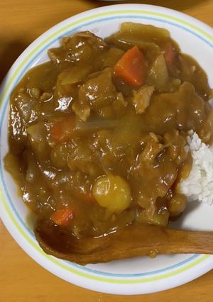 時短を目指した炊飯器カレー-レシピのメイン写真