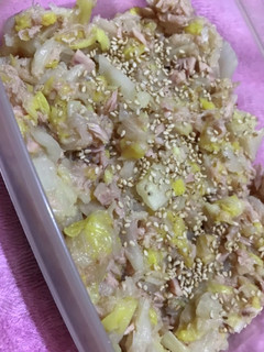 白菜ツナサラダ-レシピのメイン写真
