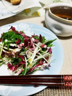 トレビスと水菜のサラダ-レシピのメイン写真