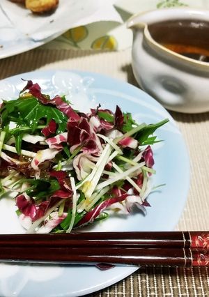 トレビスと水菜のサラダ-レシピのメイン写真