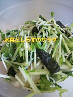 あと1品!水菜としらすのサラダ-レシピのメイン写真
