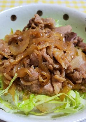 袋で混ぜて胃袋掴む！簡単玉ねぎ甘辛豚丼-レシピのメイン写真