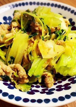 豚肉とキャベツ・豆苗の味噌炒め-レシピのメイン写真