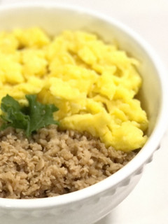 やっぱり鶏そぼろドンブリ-レシピのメイン写真