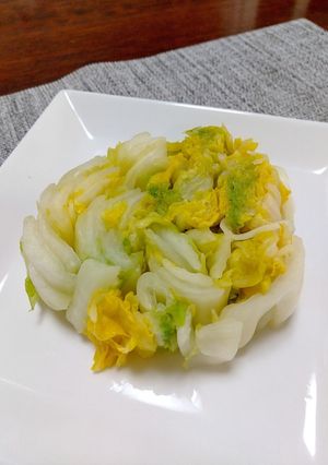 白菜漬け(簡単、自己流で)-レシピのメイン写真