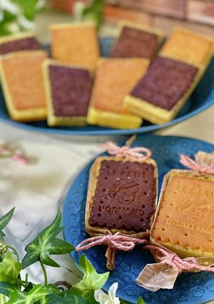 簡単 ホワイトチョコブラウニー 豆腐入-レシピのメイン写真