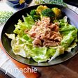 豚肉のしゃぶしゃぶ風ゴマだれがけ