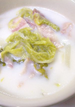 白菜の中華風ミルクスープ-レシピのメイン写真