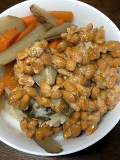 納豆と手作りきんぴらのご飯-レシピのメイン写真
