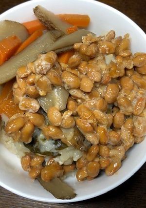 納豆と手作りきんぴらのご飯-レシピのメイン写真