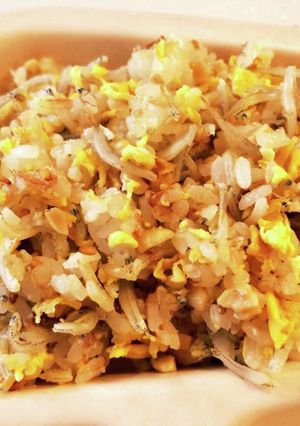 納豆とシラス炒飯-レシピのメイン写真