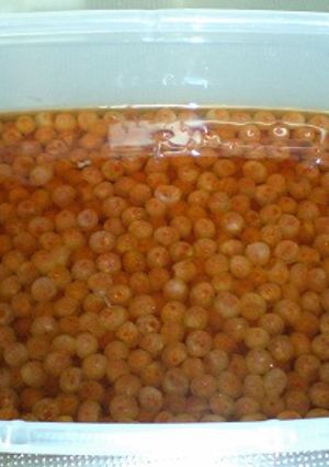大人風味☆いくらの醤油漬け-レシピのメイン写真