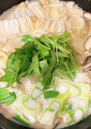 あったか豆乳鍋-レシピのメイン写真