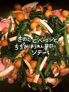 きのことベーコンとちぢみほうれん草-レシピのメイン写真