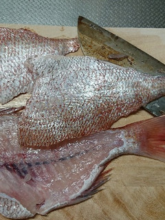 自己流ですが…鯛の三枚おろし-レシピのメイン写真