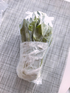 ほうれん草 長持ちさせる方法-レシピのメイン写真