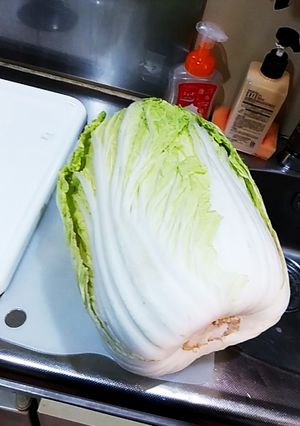 かんた～んっ！白菜漬け-レシピのメイン写真