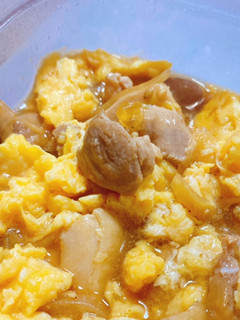 鶏肉と玉ねぎと卵の生姜焼き(親子丼可)-レシピのメイン写真