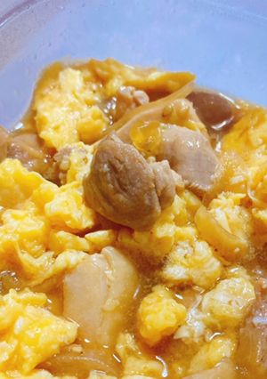 鶏肉と玉ねぎと卵の生姜焼き(親子丼可)-レシピのメイン写真