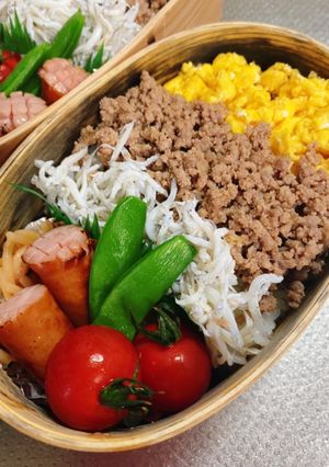 3色丼弁当-レシピのメイン写真
