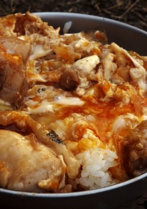 めんつゆと長ねぎで作るトロトロ親子丼-レシピのメイン写真