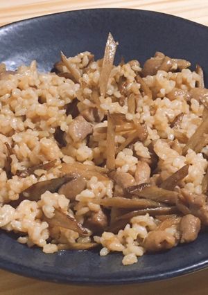 鶏ごぼうめし-レシピのメイン写真