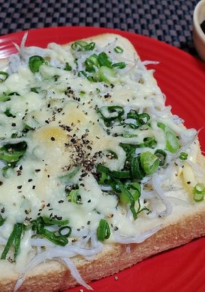 簡単やみつき！シラストースト-レシピのメイン写真