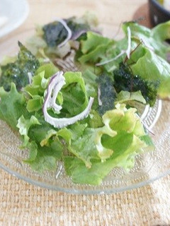ポリ袋で簡単!乾燥野菜入りチョレギサラダ-レシピのメイン写真