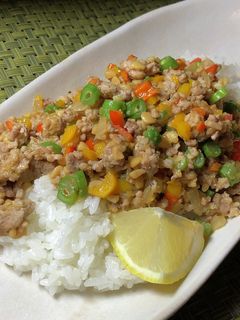 エスニックな納豆そぼろ丼-レシピのメイン写真