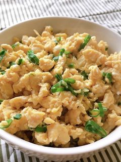 お昼はチャチャっと✩玉子とネギのそぼろ丼-レシピのメイン写真