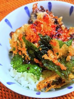 鰻蒲焼き天ぷらの小天丼-レシピのメイン写真