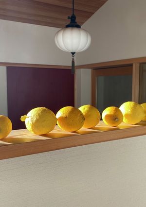 レモンチロップ-レシピのメイン写真