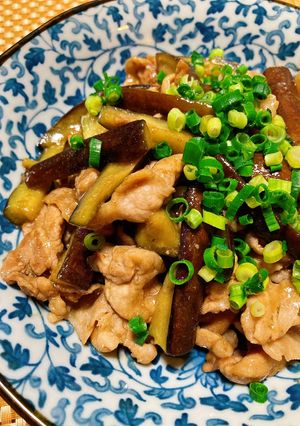 茄子と豚肉の生姜炒め☆肉野菜炒めの素で！-レシピのメイン写真