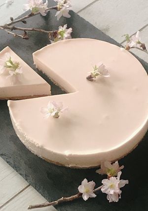さくらレアチーズケーキ-レシピのメイン写真