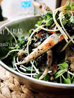 ごぼうとひじきの腸活胡麻サラダ♪♪-レシピのメイン写真