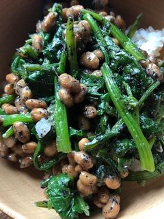 納豆とほうれん草の胡麻和えご飯-レシピのメイン写真